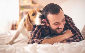 “Será que o meu cão gosta de mim?” Aqui estão 8 formas de linguagem de amor canina, para obter a resposta!