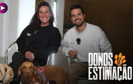 Do medo à felicidade: A história de Pedro e Zoe, uma Border Collie traumatizada que foi resgatada
