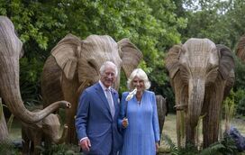 Carlos III e Camilla celebram 10 anos à frente de organização de proteção animal, fundada pelo irmão da rainha