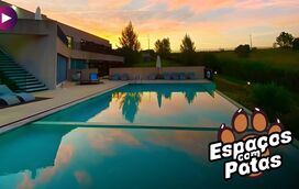 Descubra o retiro rústico e relaxante para descansar na companhia do seu patudo