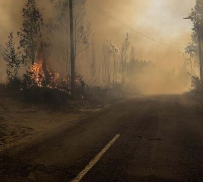 'Inferno' de chamas em Albergaria-a-Velha: imagens de drone mostram dimensão do caos 