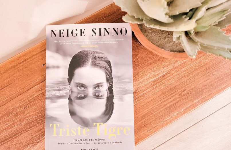 Triste Tigre, de Neige Sinno