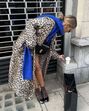 Alerta tendência! Como usar 'animal print' sem cair na vulgaridade