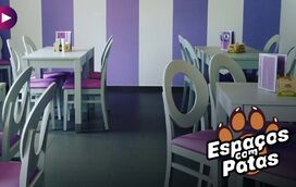 Pet & Tea: Cupcakes, Milkshakes e Miados : a receita perfeita!