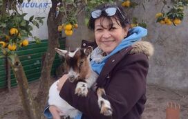 Amor sem tamanho: a incrível ligação entre Tommy, o cabrito anão, e a sua dona Magda