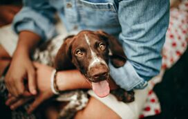Sabia que os cães podem detetar doenças nos humanos? É mesmo verdade e nós contamos como!