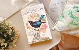 Este livro é um dos melhores romances que vão poder ler este ano! E é de uma autora portuguesa