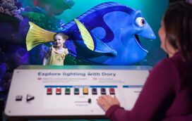 Conheça os segredos por detrás dos grandes filmes de animação num programa único que os miúdos não vão querer perder