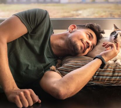 Os gatos gostam mais de 'socializar' com homens do que com mulheres? Saiba o que diz um estudo sobre este 'estranho' comportamento dos felinos 