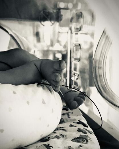 Mariana Pacheco, Syro