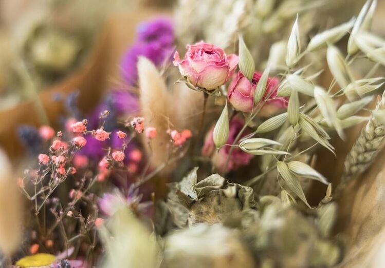 Fleurs à Lisbonne