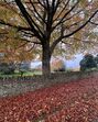 Viagem de Cristina Ferreira a Cotswolds, Inglaterra