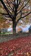 Viagem de Cristina Ferreira a Cotswolds, Inglaterra