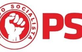 Politiquice