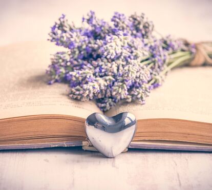 Um livro sobre livros e jogos de palavras: 'Amor e Outras Palavras' pode ser o livro perfeito para si