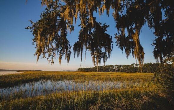 Lowcountry