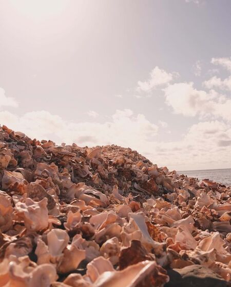 Ana Guiomar, Cabo Verde