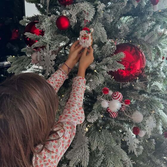 Daniel Oliveira, Andreia Rodrigues 