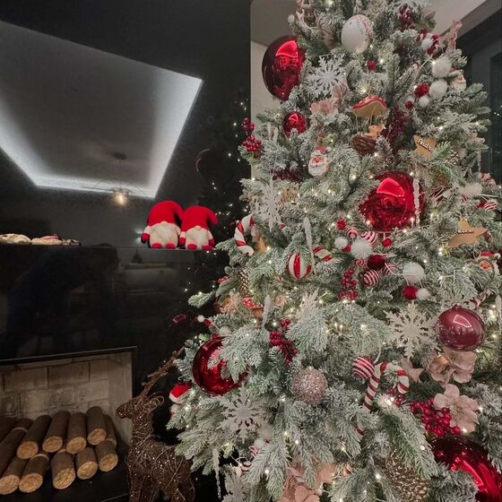 Daniel Oliveira, Andreia Rodrigues 