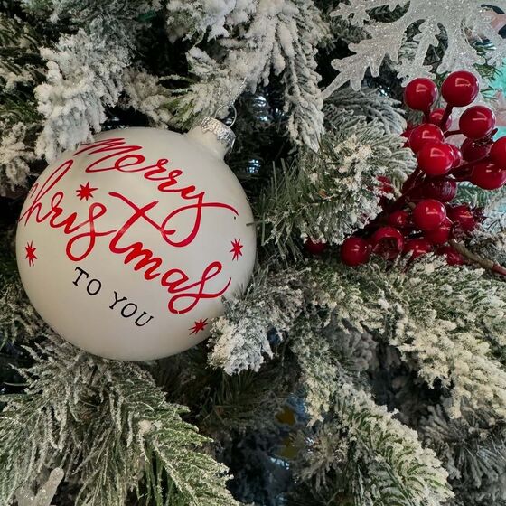 Daniel Oliveira, Andreia Rodrigues 