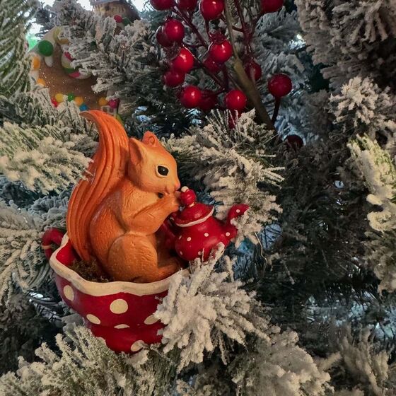 Daniel Oliveira, Andreia Rodrigues 