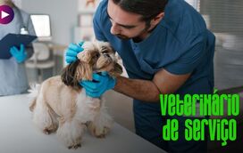 Check-ups: quando e como os fazer?
