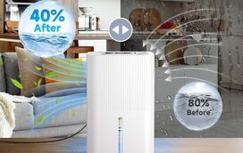 O desumidificador que vai fazer a diferença na sua casa! Evite estragos e melhore a qualidade do ar que respira