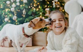 6 jogos divertidos para celebrar o Natal com os seus patudos!