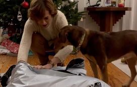 O vídeo de Fátima Lopes que está a encantar a internet