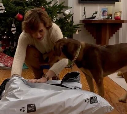 O vídeo de Fátima Lopes que está a encantar a internet