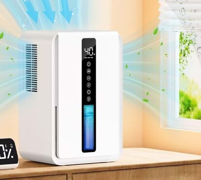 Casa sem humidade graças a este aliado! Conheça o desumidificador que vai fazer a diferença 