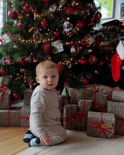 Vicente, filho de Maria Botelho Moniz