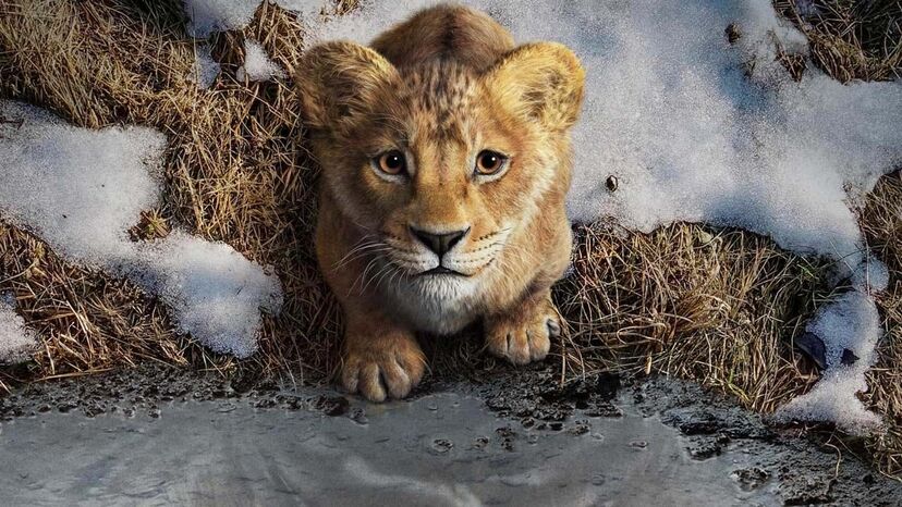 Mufasa - O Rei Leão