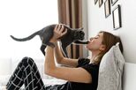Tem um gato em casa e anda sempre com o coração nas mãos? Saiba como proteger as janelas e varandas e evitar acidentes indesejados