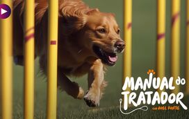 Um cão ativo é um cão feliz: desvendámos o poder do exercício na vida do seu patudo!
