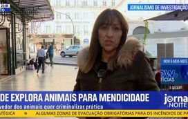 Programa 'Repórter Sábado', do NOW, é líder e derrota SIC Notícias e CNN