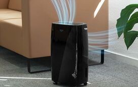 A solução real para a humidade em casa! Ataque o problema de vez e evite estragos maiores