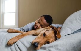 Estas são 8 dicas infalíveis para melhorar a saúde do seu cão!