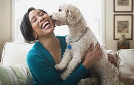 Sabia que os cães fazem tudo para deixar o seu dono feliz? Aqui estão 5 provas de que é mesmo verdade!