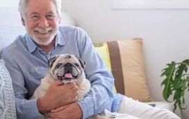 Vive sozinho? Então estas são as 5 raças de cão ideais para si!