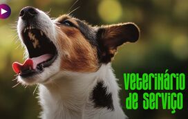 Tosse do Canil: a doença frequente que pode e deve ser prevenida!