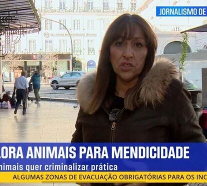 Programa 'Repórter Sábado', do NOW, é líder e derrota SIC Notícias e CNN