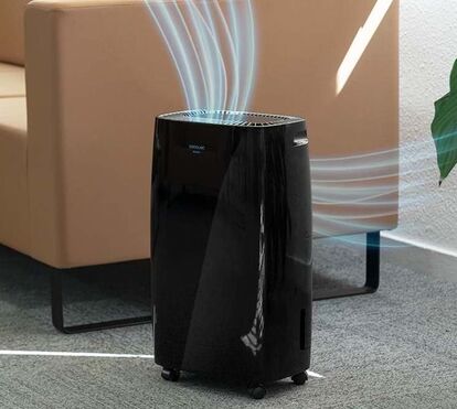 A solução real para a humidade em casa! Ataque o problema de vez e evite estragos maiores