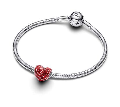 AMOR E ESTILO SEM FIM