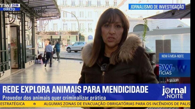 'Repórter Sábado' liderou