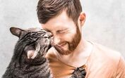 Gatos, pets and company