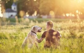 Qual a raça de cão que vive mais? Conheça os 7 companheiros de vida longa
