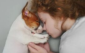 Será que está a mimar o seu cão em excesso? Este é o equilíbrio perfeito entre mimo e treino!