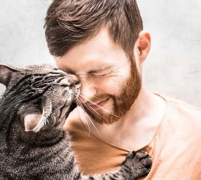 Bem me quer, mal me quer! Conheça os 4 sinais que provam que o seu gato gosta verdadeiramente de si