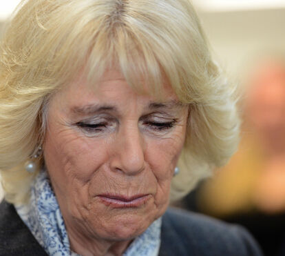 Desolada com a doença de Carlos, Camilla encontra apoio e vive alegria inesperada